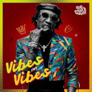 Vibes On Vibes 768x768